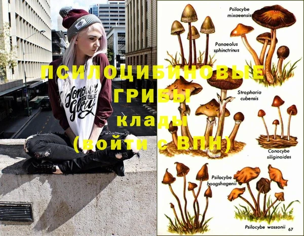 spice Белокуриха