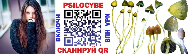 Галлюциногенные грибы мицелий  Тутаев 